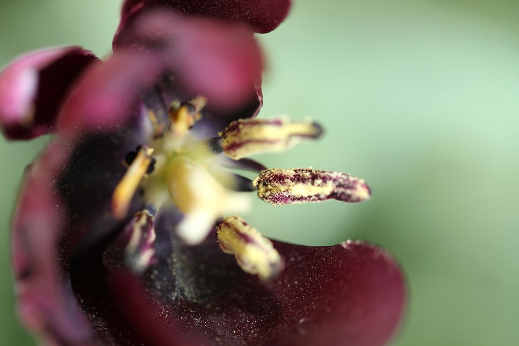 中山公园 124.jpg