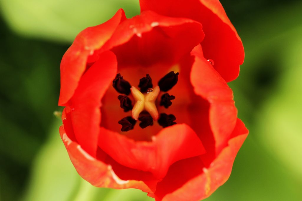 中山公园 018.jpg