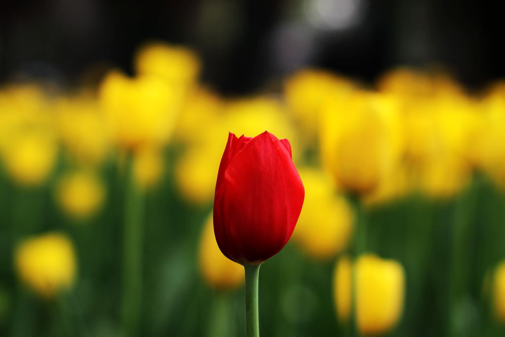 中山公园 005.jpg