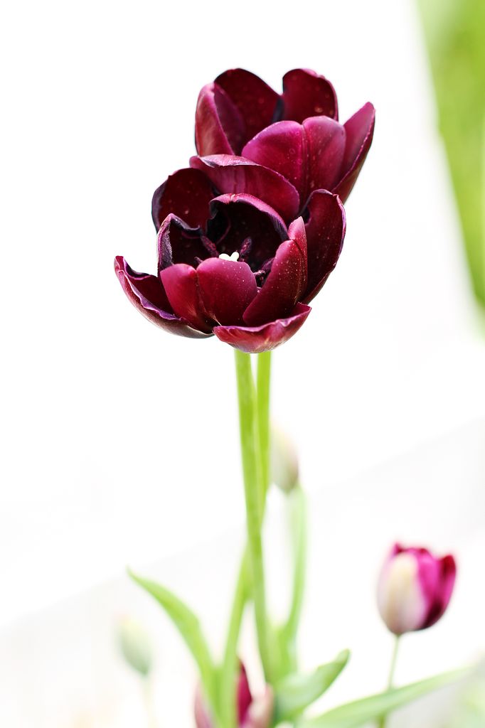 中山公园 160.jpg