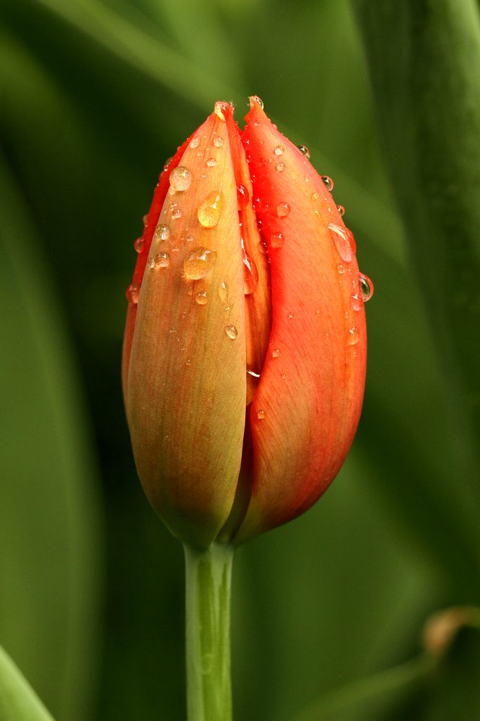 中山公园 036.jpg