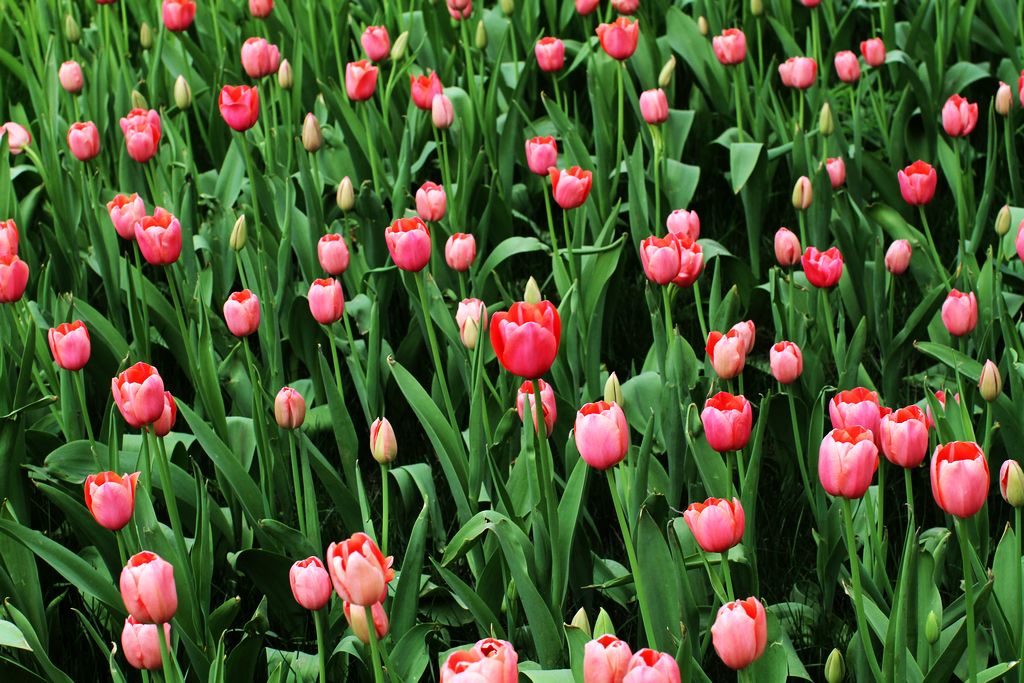 中山公园 053.jpg