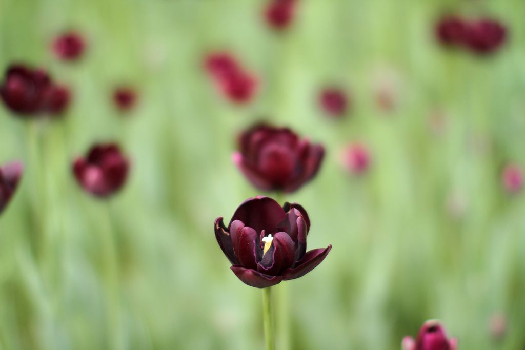 中山公园 111.jpg