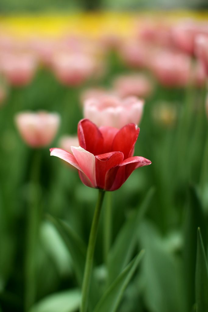 中山公园 104.jpg