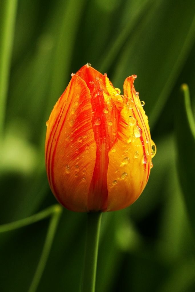 中山公园 034.jpg