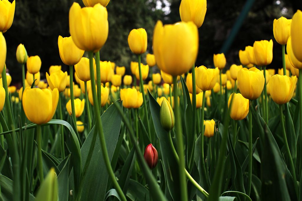 中山公园 001.jpg