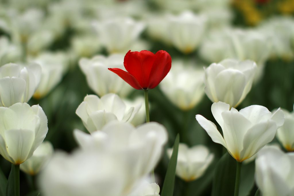 中山公园 101.jpg