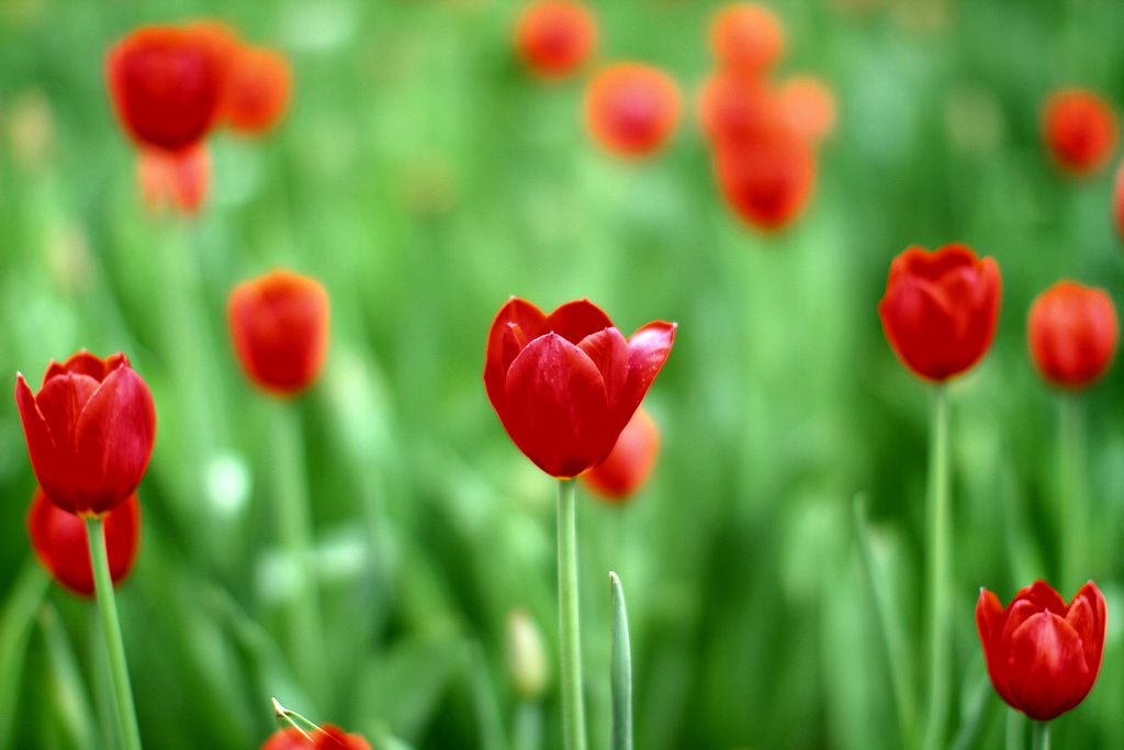 中山公园 078.jpg