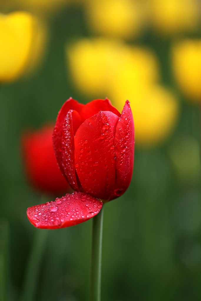 中山公园 011.jpg