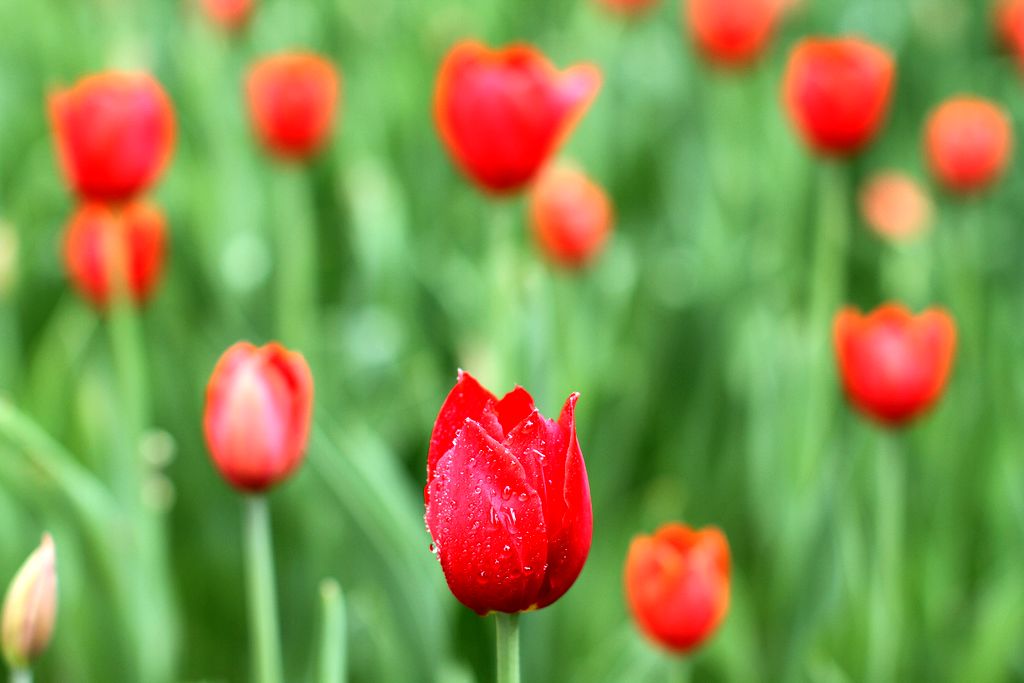 中山公园 084.jpg