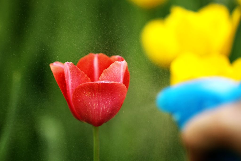 中山公园 132.jpg