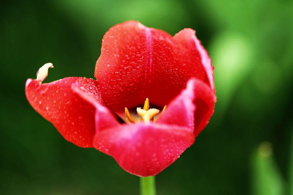 中山公园 154.jpg