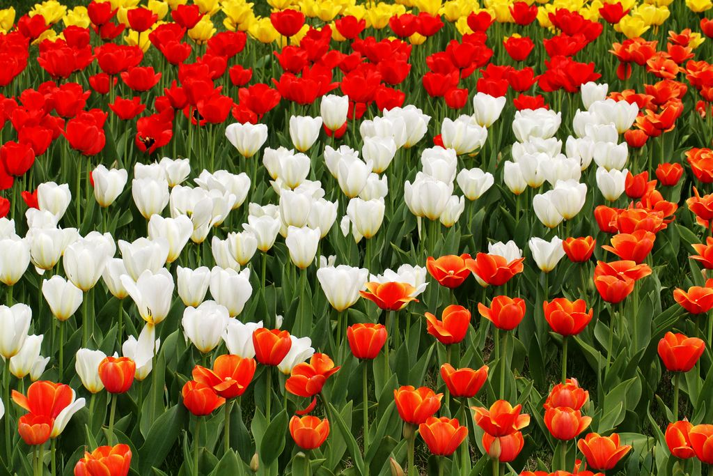 中山公园 170.jpg