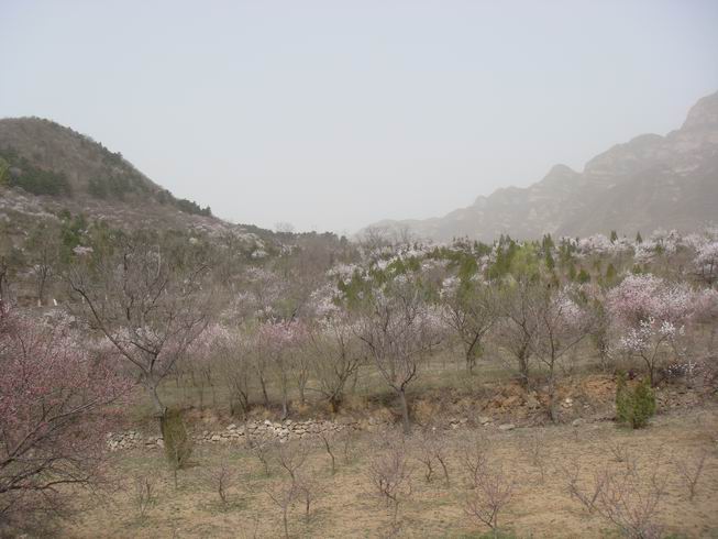 Resize of DSC07080.JPG