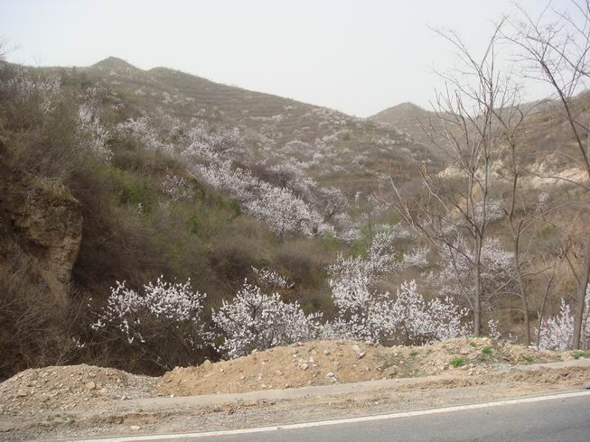 Resize of DSC07073.JPG