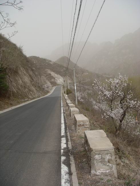 Resize of DSC07068.JPG