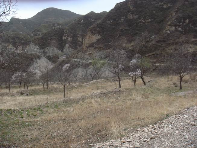 Resize of DSC07127.JPG