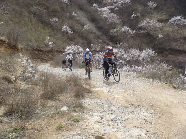 Resize of DSC07155.JPG