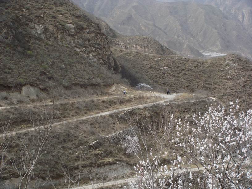 Resize of DSC07144.JPG