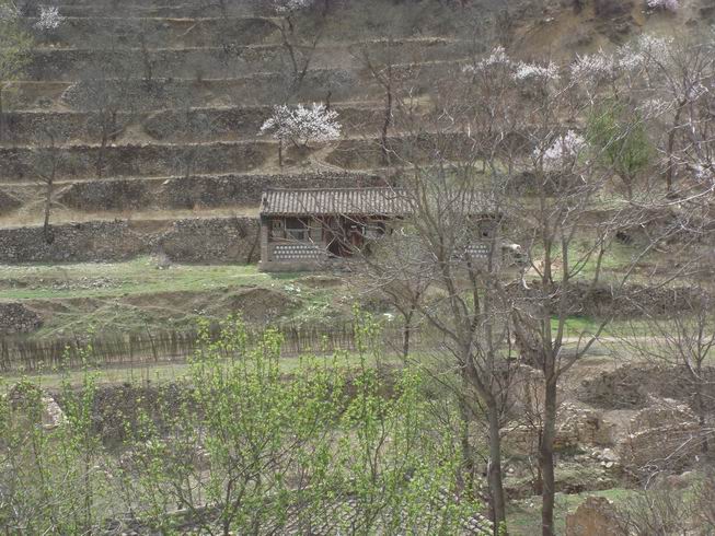 Resize of DSC07176.JPG