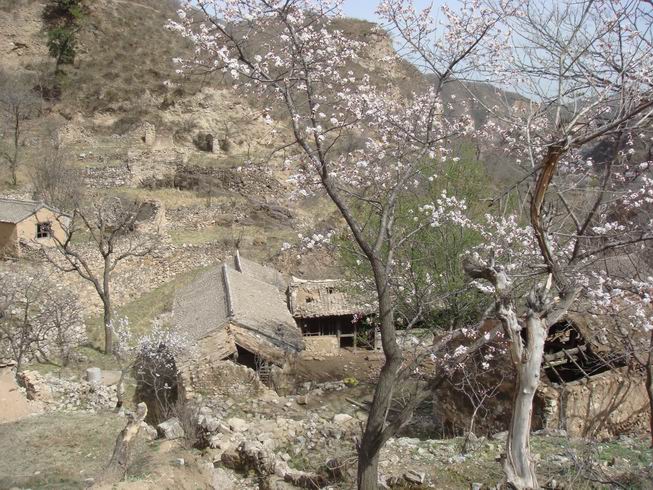 Resize of DSC07178.JPG