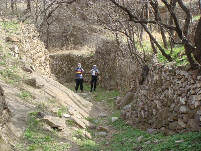 Resize of DSC07201.JPG