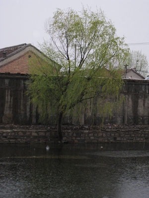 nEO_IMG_照片 098.jpg