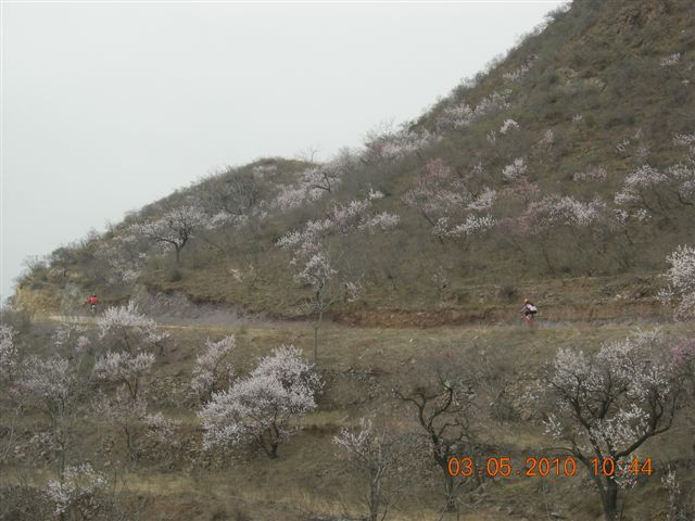 5.1 京西北乡间游 366.jpg