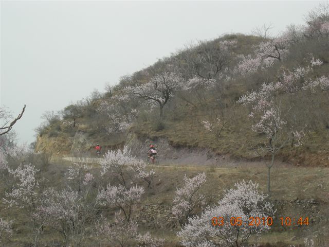 5.1 京西北乡间游 367.jpg