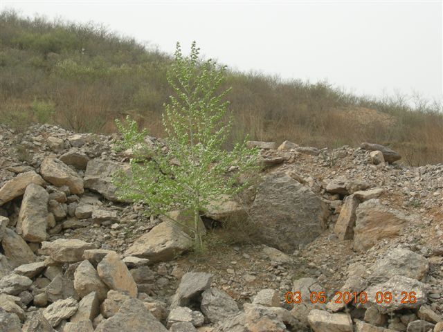 5.1 京西北乡间游 348.jpg