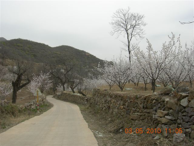 5.1 京西北乡间游 384.jpg