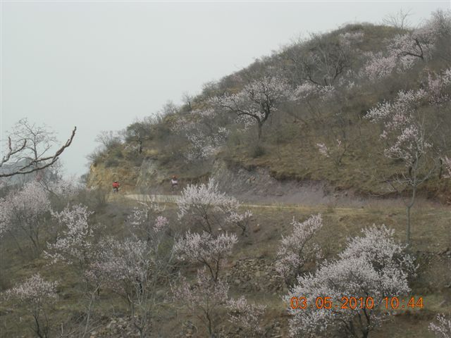 5.1 京西北乡间游 368.jpg