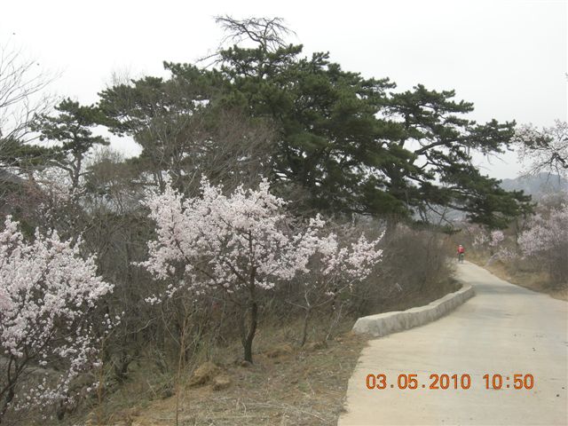 5.1 京西北乡间游 376.jpg