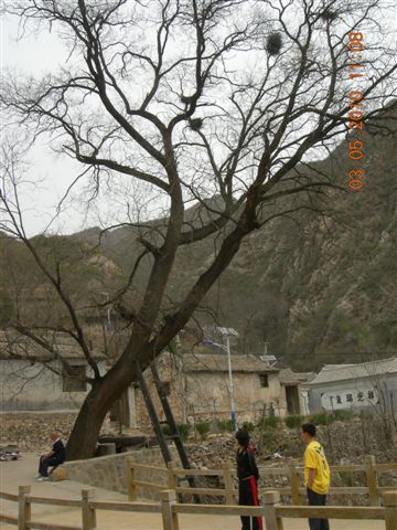 5.1 京西北乡间游 385.jpg