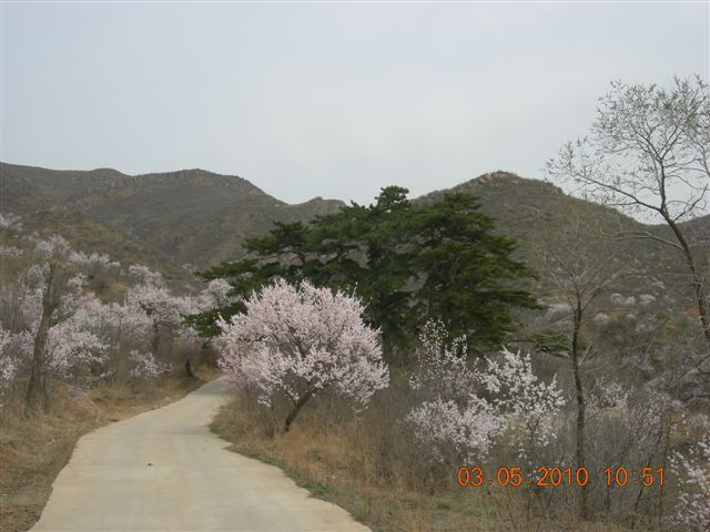 5.1 京西北乡间游 377.jpg