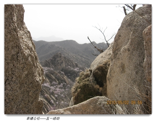 liang hua shang 011.jpg