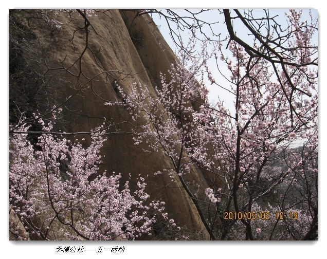 liang hua shang 035.jpg