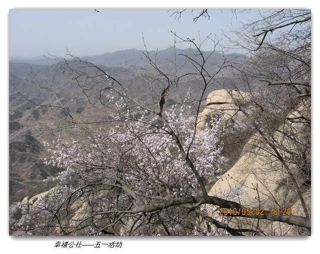 liang hua shang 037.jpg