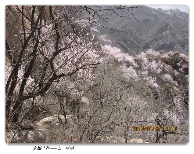 liang hua shang 034.jpg