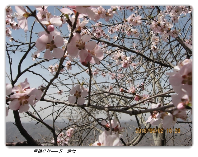 liang hua shang 038.jpg