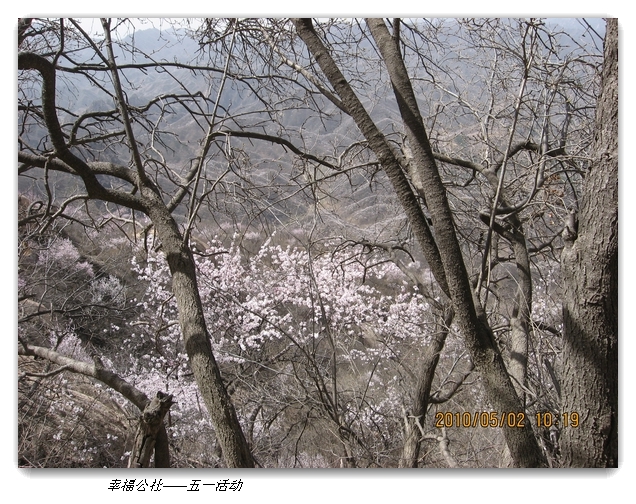 liang hua shang 036.jpg