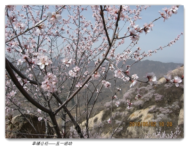 liang hua shang 053.jpg