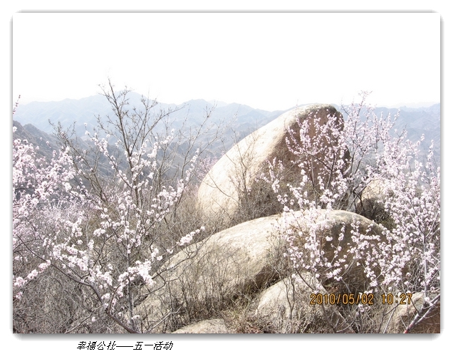 liang hua shang 050.jpg