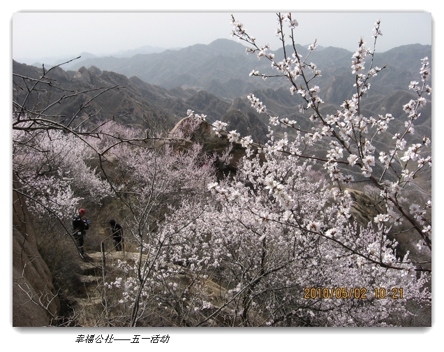 liang hua shang 041.jpg