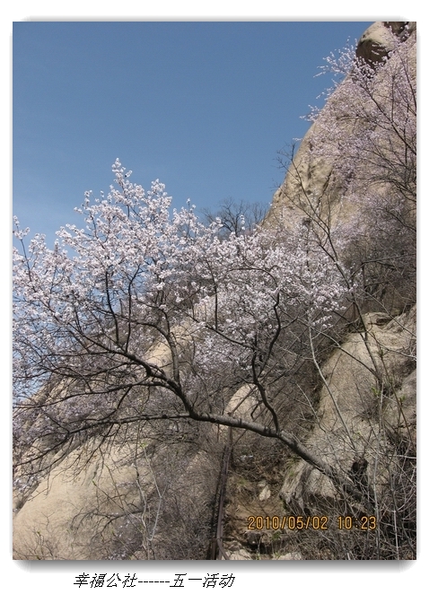 liang hua shang 045.jpg