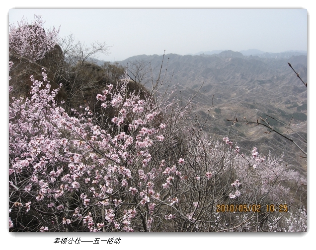 liang hua shang 047.jpg