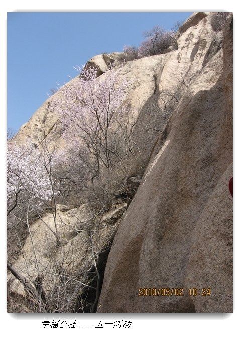 liang hua shang 046.jpg