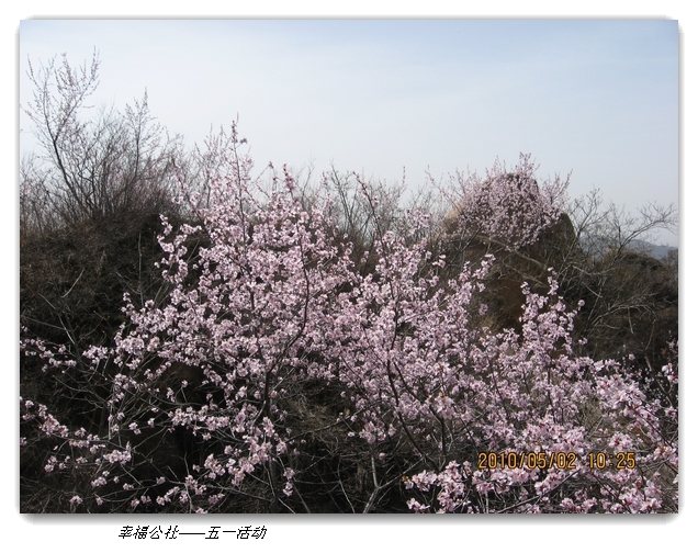 liang hua shang 048.jpg