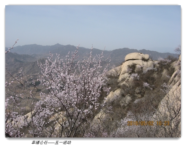 liang hua shang 044.jpg