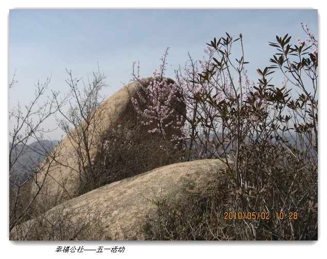 liang hua shang 052.jpg